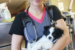 IMG_20191101_132542_065