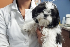 IMG_20200717_201451_231