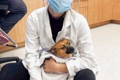 IMG_20201124_134536_480