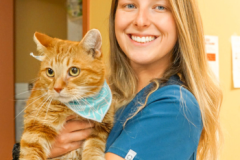 photo site web 2022 - 2