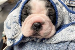 received_1077889443093090