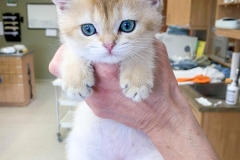 received_155461916354053