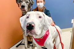 received_1748436332034388-1