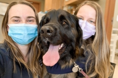 received_196523098575663