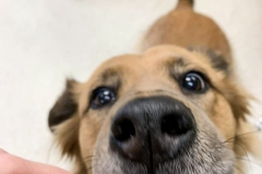 received_237012995230680