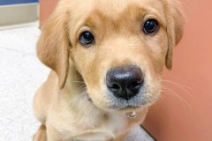 received_272234713927841-1