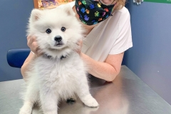 received_2771933463088112