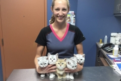 received_2949007525209640