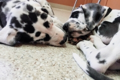 received_296682894750364