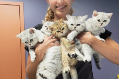 received_333860707786285-1