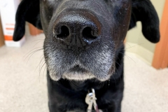 received_363208488105951