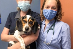 received_368384714856781