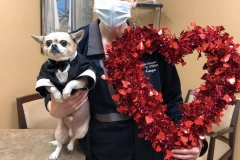 received_3810008272399088