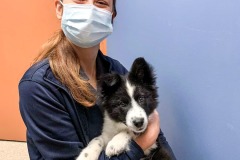 received_397852172136341-1