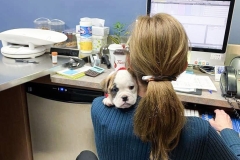 received_463907401922179-1