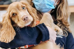 received_468053474356600