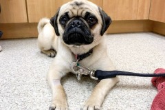 received_472989954140760