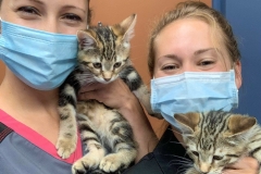 received_476323920109433