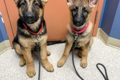 received_569936957434788-1