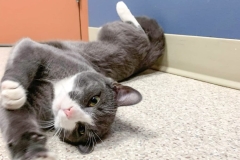 received_585285059225085