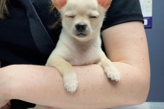 received_617936945733291