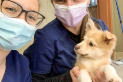 received_657409041904606