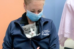 received_740710243276487