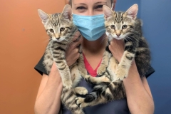 received_753987651935713