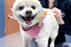 received_767527257503375