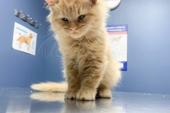 received_851473858873644