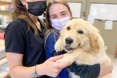 received_899668994297739