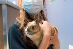 received_924308168132785-1